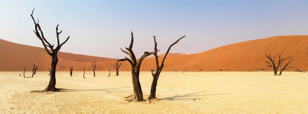 חופשה משפחתית בנמיביה