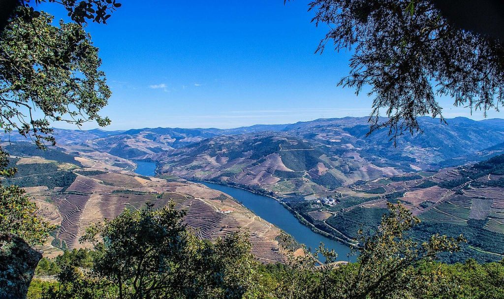 נוף פנורמי מרהיב של נהר הדורו המתפתל בין גבעות מיוערות ושדות חקלאיים מדורגים, כפי שנראה מנקודת התצפית סאו לאונרדו דה גאלאפורה.